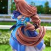 Uma Musume Cinderella Gray: Super Creek 1/7 [Phat Company]